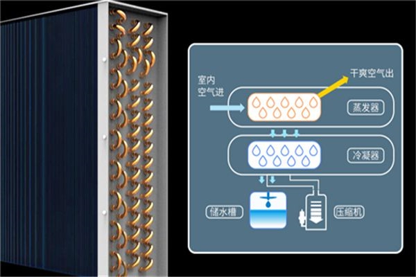 为什么91香蕉视频官网器有利于提高豆腐皮的干燥质量