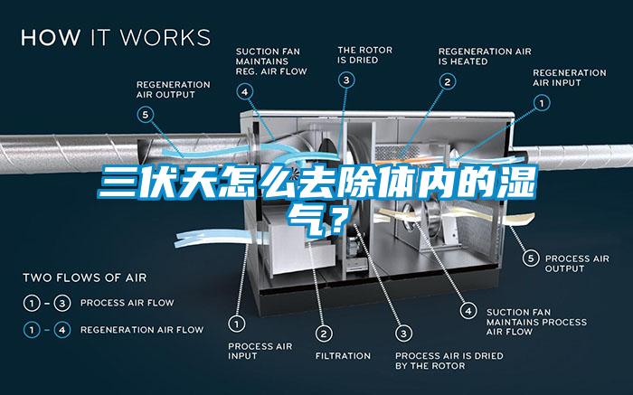 三伏天怎么去除体内的湿气？