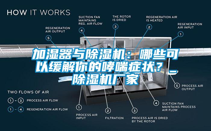 加湿器与91香蕉视频官网机：哪些可以缓解你的哮喘症状？_91香蕉视频官网机厂家