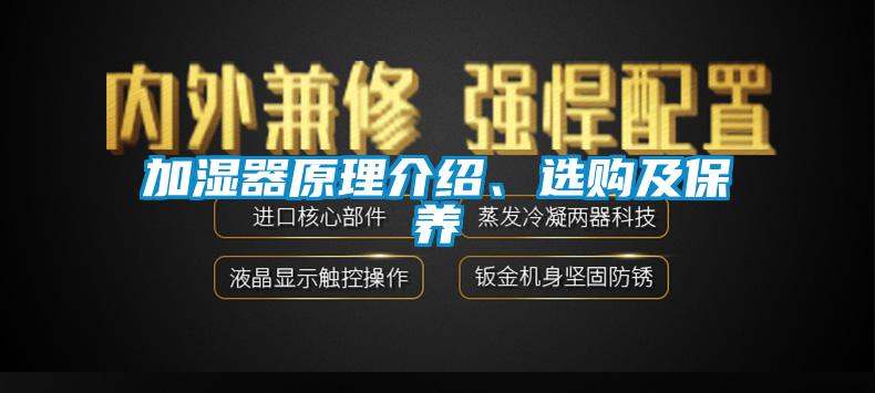 加湿器原理介绍、选购及保养