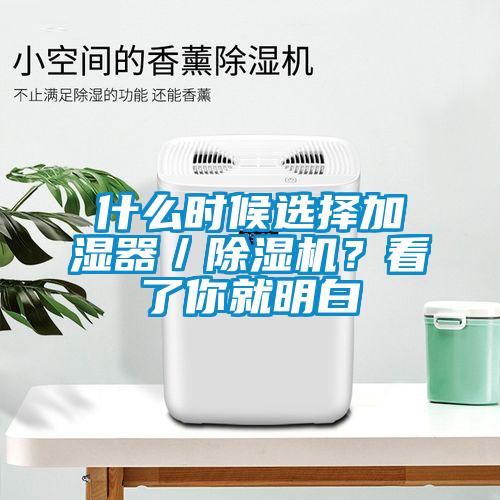 什么时候选择加湿器／91香蕉视频官网机？看了你就明白