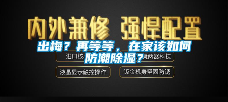 出梅？再等等，在家该如何防潮91香蕉视频官网？