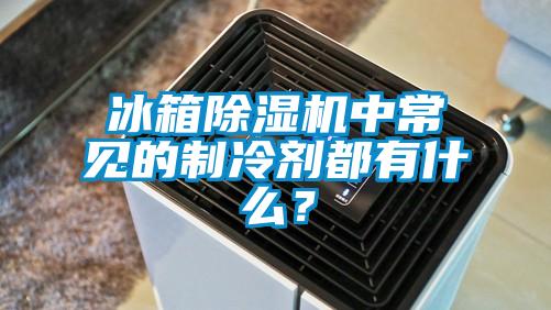 冰箱91香蕉视频官网机中常见的制冷剂都有什么？