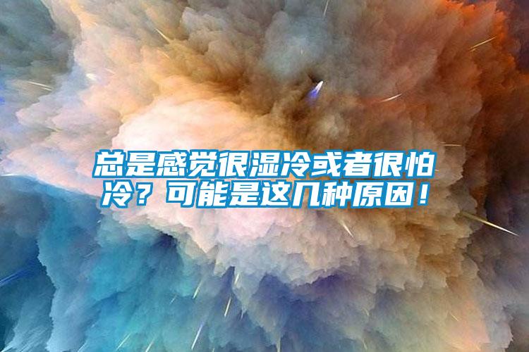 总是感觉很湿冷或者很怕冷？可能是这几种原因！