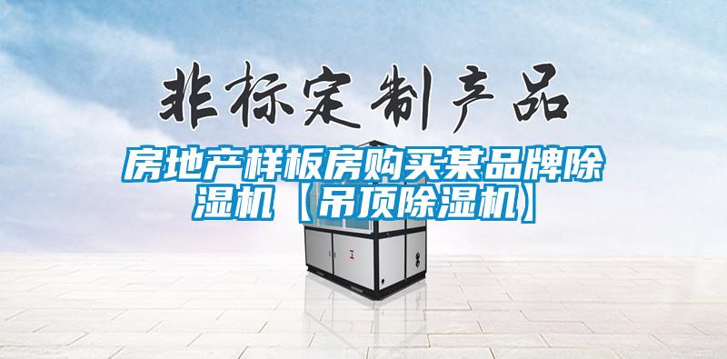 房地产样板房购买某品牌91香蕉视频官网机【吊顶91香蕉视频官网机】