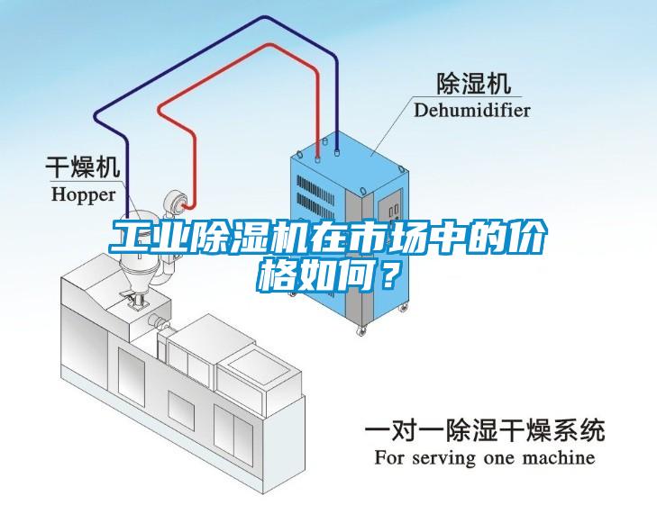 工业91香蕉视频官网机在市场中的价格如何？