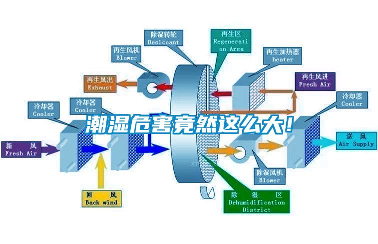 潮湿危害竟然这么大！