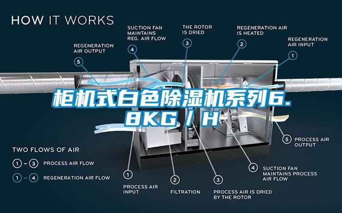 柜机式白色91香蕉视频官网机系列6.8KG／H