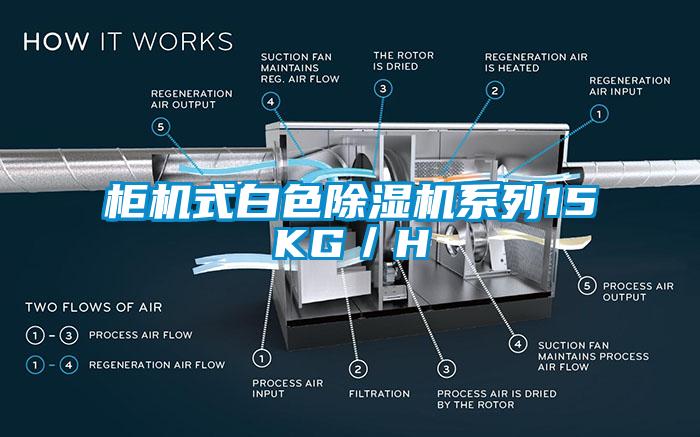 柜机式白色91香蕉视频官网机系列15KG／H