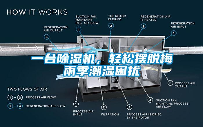 一台91香蕉视频官网机，轻松摆脱梅雨季潮湿困扰