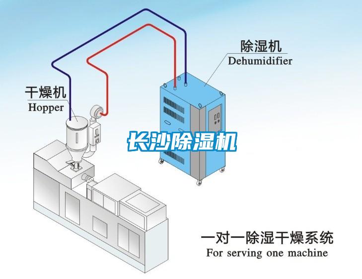 长沙91香蕉视频官网机