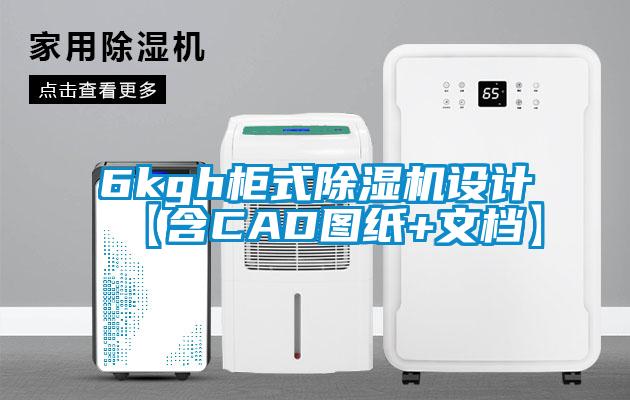 6kgh柜式91香蕉视频官网机设计【含CAD图纸+文档】