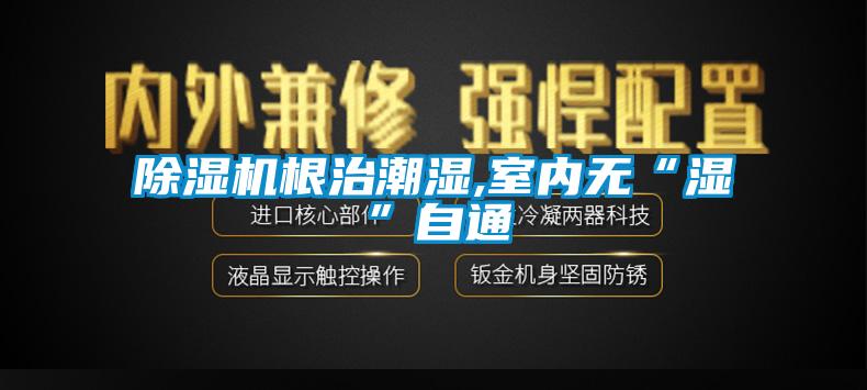 91香蕉视频官网机根治潮湿,室内无“湿”自通