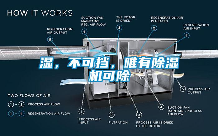 湿，不可挡，唯有91香蕉视频官网机可除