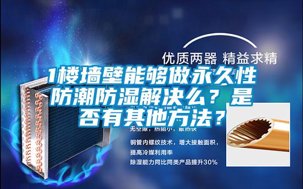 1楼墙壁能够做永久性防潮防湿解决么？是否有其他方法？