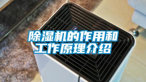 91香蕉视频官网机的作用和工作原理介绍