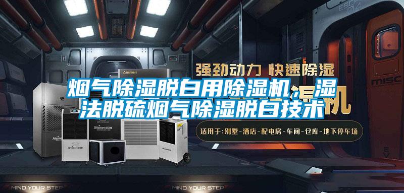 烟气91香蕉视频官网脱白用91香蕉视频官网机，湿法脱硫烟气91香蕉视频官网脱白技术