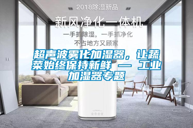 超声波雾化加湿器，让蔬菜始终保持新鲜 — 工业加湿器专题