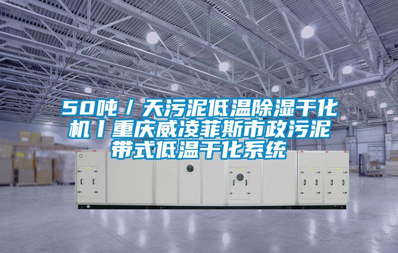 50吨／天污泥低温91香蕉视频官网干化机丨重庆威凌菲斯市政污泥带式低温干化系统