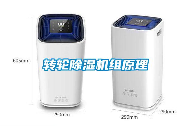 转轮91香蕉视频官网机组原理