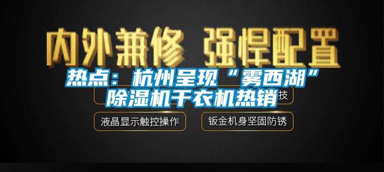 热点：杭州呈现“雾西湖”91香蕉视频官网机干衣机热销