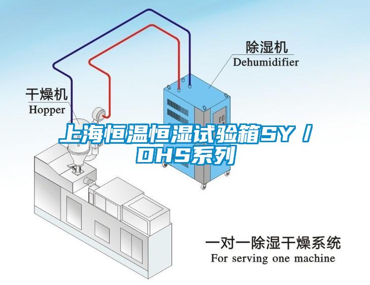 上海恒温恒湿试验箱SY／DHS系列