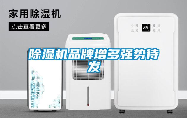 91香蕉视频官网机品牌增多强势待发