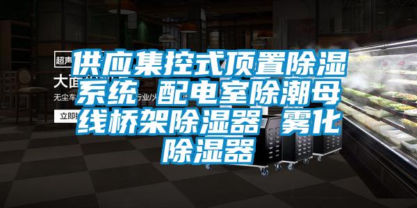 供应集控式顶置91香蕉视频官网系统 配电室除潮母线桥架91香蕉视频官网器 雾化91香蕉视频官网器