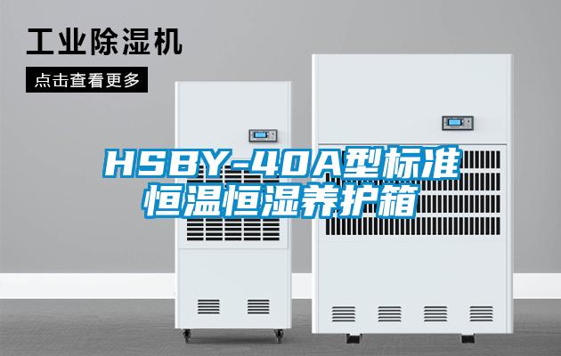 HSBY-40A型标准恒温恒湿养护箱