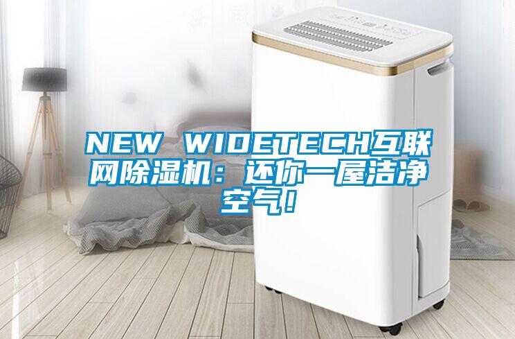 NEW WIDETECH互联网91香蕉视频官网机：还你一屋洁净空气！