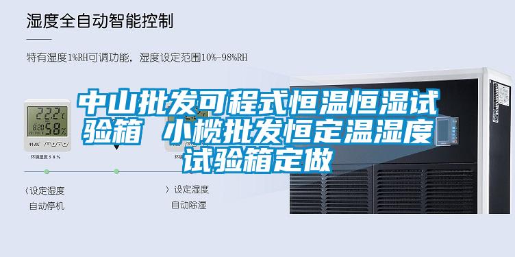 中山批发可程式恒温恒湿试验箱 小榄批发恒定温湿度试验箱定做