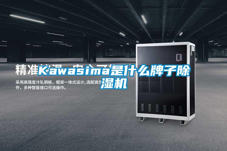 Kawasima是什么牌子91香蕉视频官网机