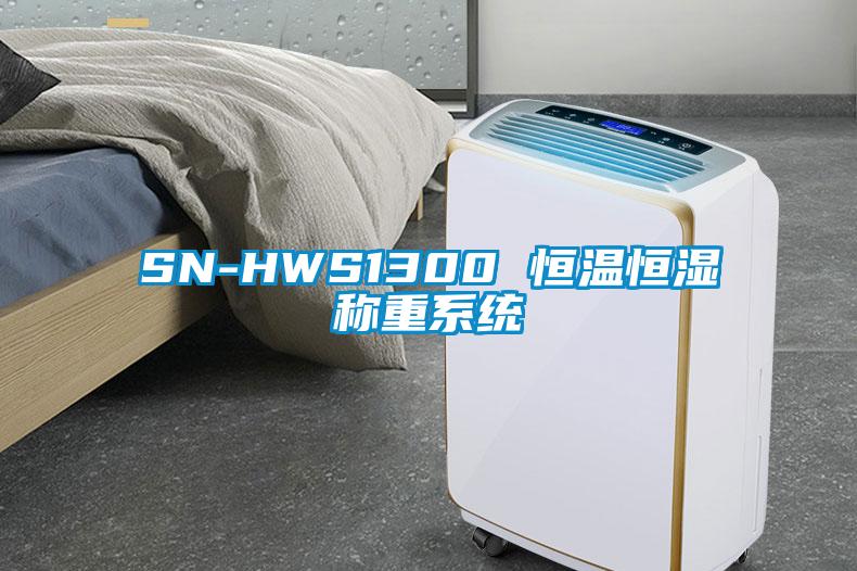 SN-HWS1300 恒温恒湿称重系统