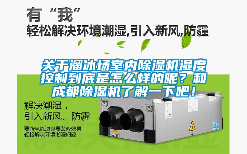 关于溜冰场室内91香蕉视频官网机湿度控制到底是怎么样的呢？和成都91香蕉视频官网机了解一下吧！