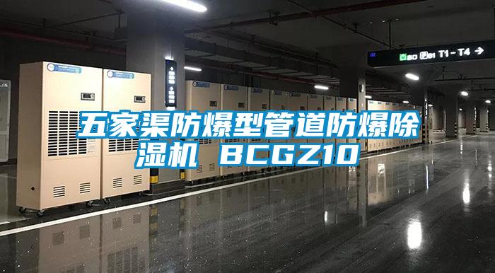 五家渠防爆型管道防爆91香蕉视频官网机 BCGZ10