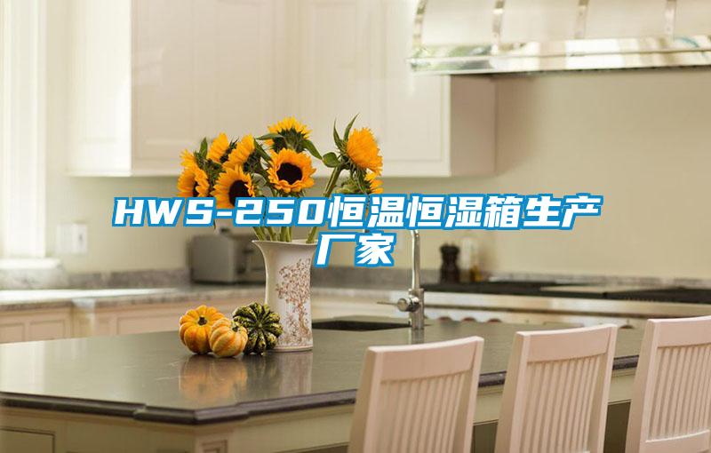 HWS-250恒温恒湿箱生产厂家