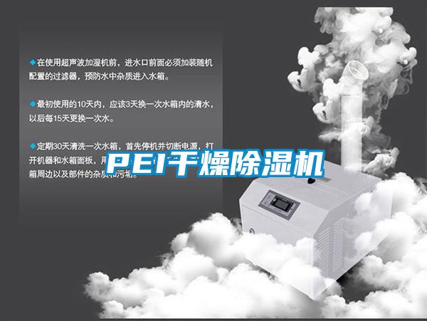 PEI干燥91香蕉视频官网机