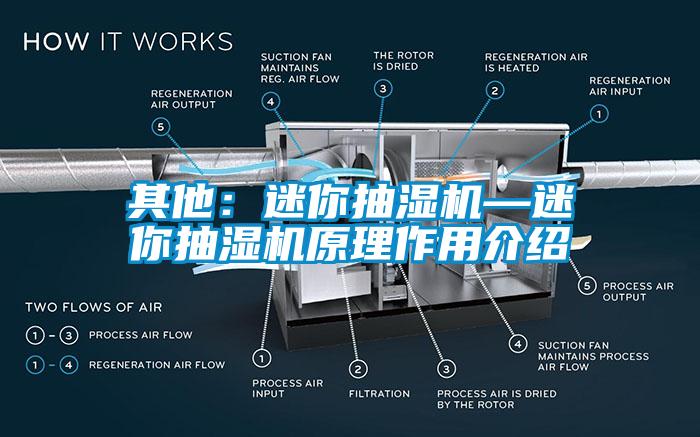 其他：迷你抽湿机—迷你抽湿机原理作用介绍