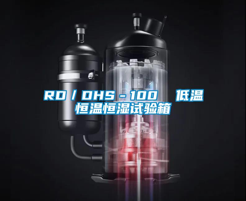 RD／DHS－100  低温恒温恒湿试验箱