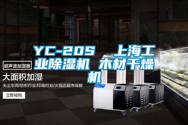 YC-20S  上海工业91香蕉视频官网机 木材干燥机