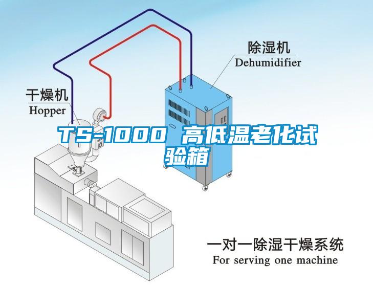 TS-1000 高低温老化试验箱