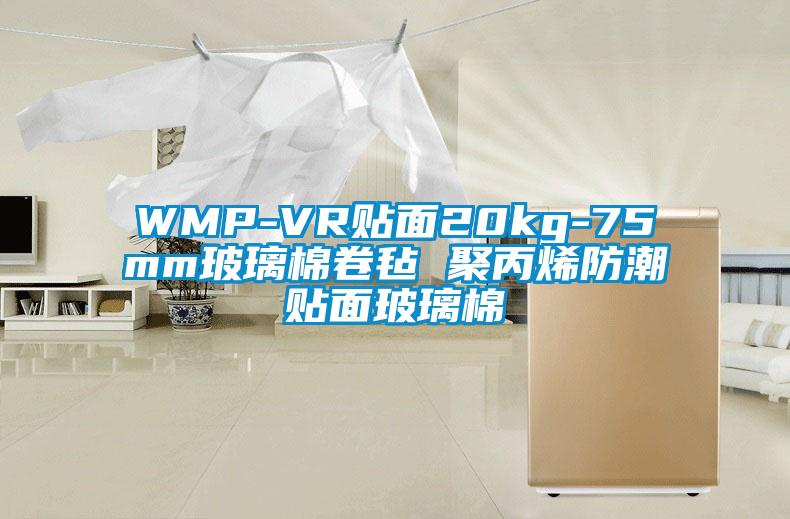 WMP-VR贴面20kg-75mm玻璃棉卷毡 聚丙烯防潮贴面玻璃棉