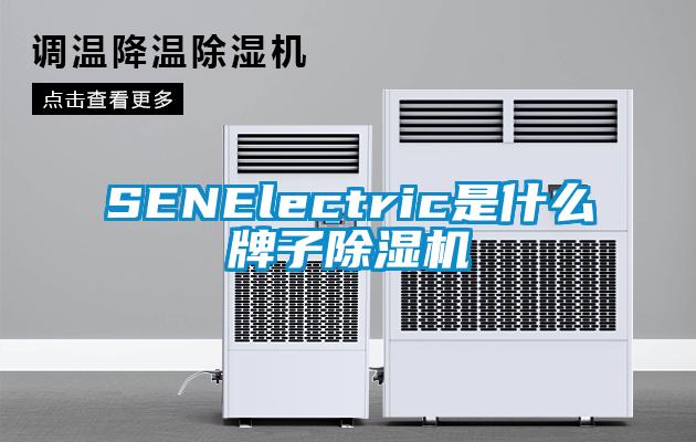 SENElectric是什么牌子91香蕉视频官网机