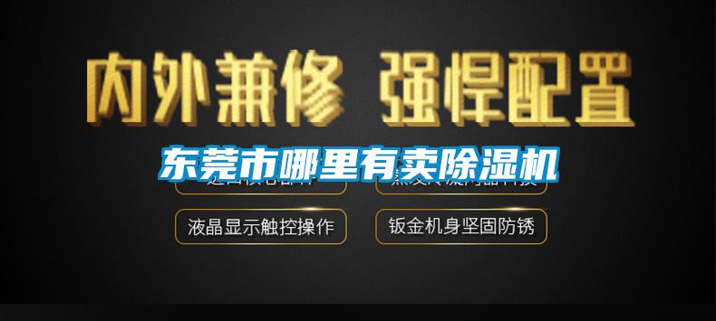 东莞市哪里有卖91香蕉视频官网机