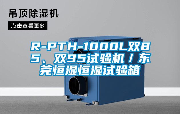 R-PTH-1000L双85、双95试验机／东莞恒湿恒湿试验箱