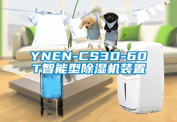 YNEN-CS3D-60T智能型91香蕉视频官网机装置