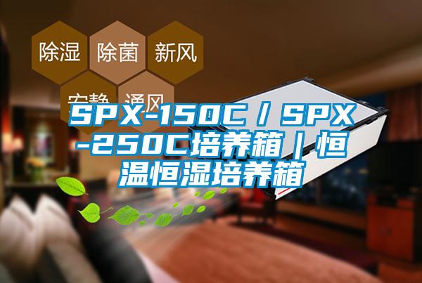 SPX-150C／SPX-250C培养箱｜恒温恒湿培养箱