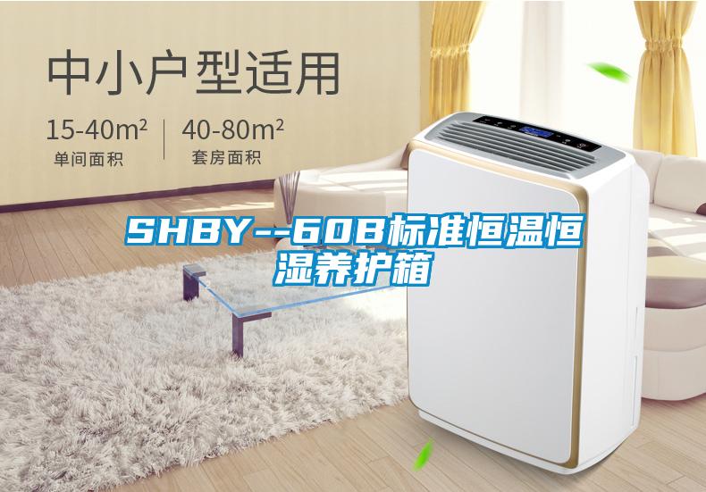 SHBY--60B标准恒温恒湿养护箱