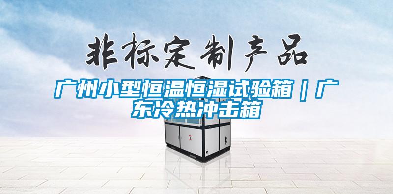 广州小型恒温恒湿试验箱｜广东冷热冲击箱