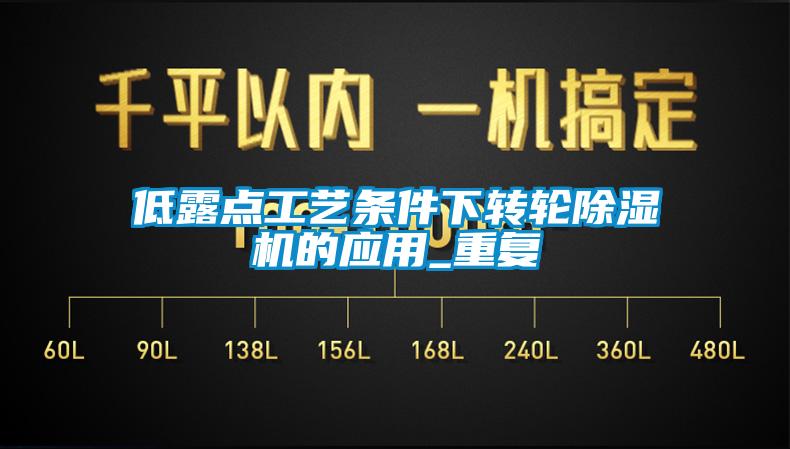 低露点工艺条件下转轮91香蕉视频官网机的应用_重复